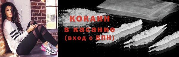 амф Дмитровск