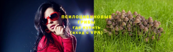 сатива Дмитров