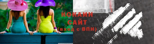 2c-b Дмитриев